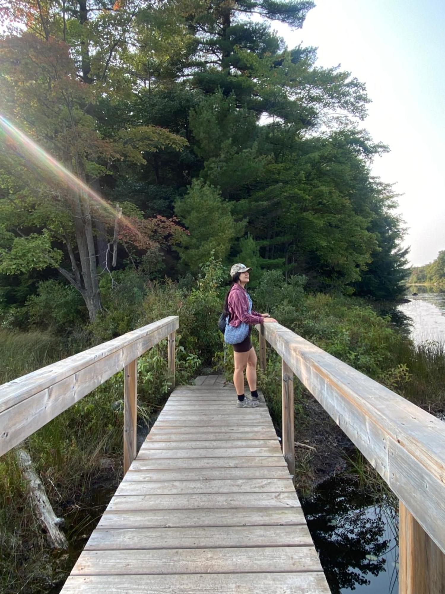Blue Spruce Bed And Breakfast Muskoka Gravenhurst Luaran gambar