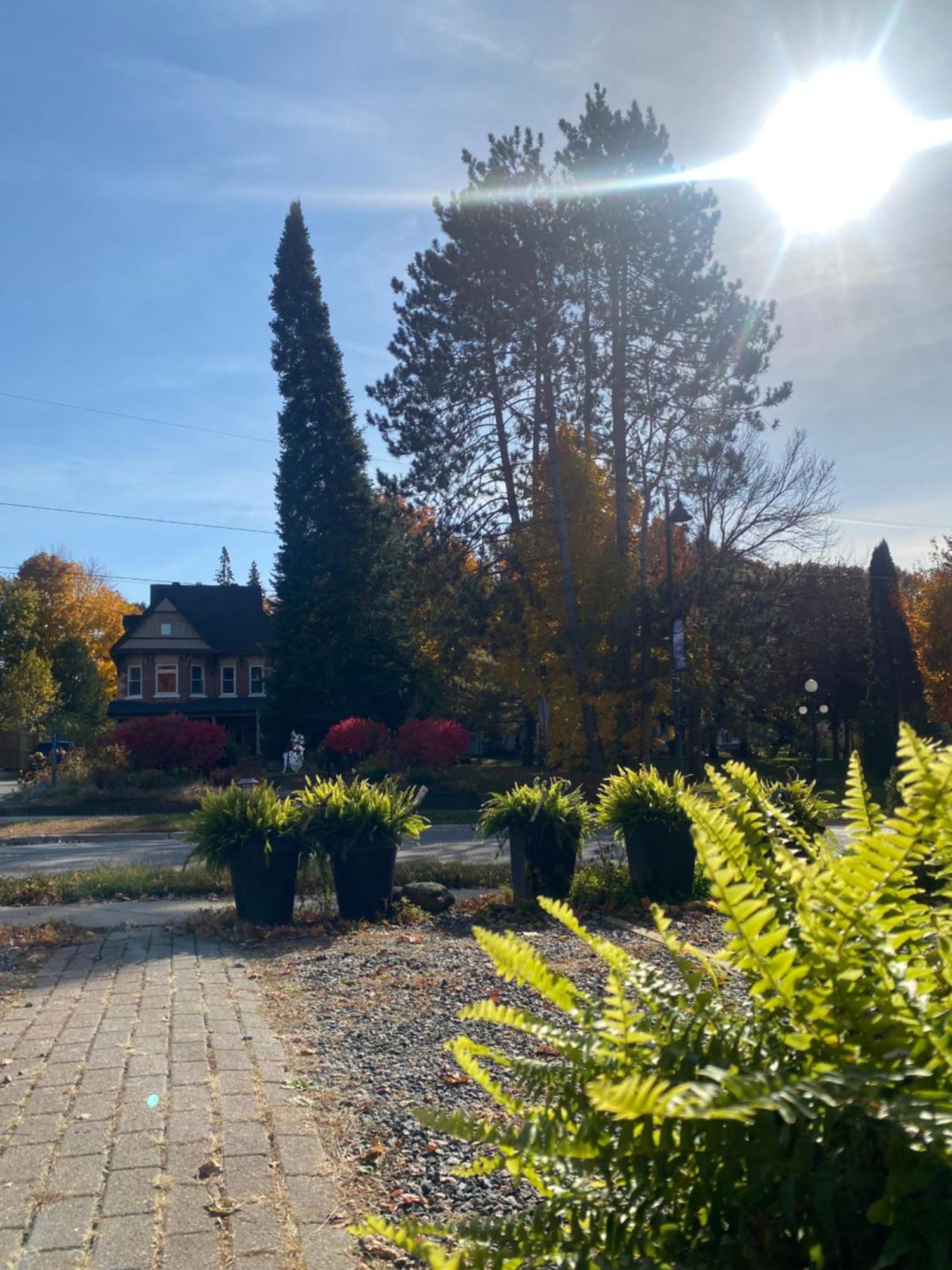 Blue Spruce Bed And Breakfast Muskoka Gravenhurst Luaran gambar
