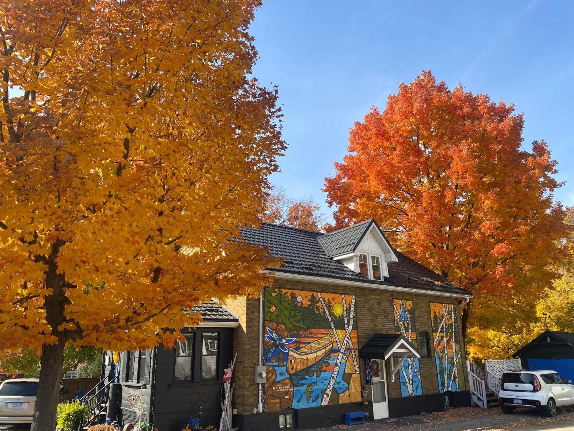 Blue Spruce Bed And Breakfast Muskoka Gravenhurst Luaran gambar